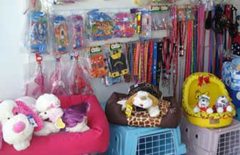 Cats & Dogs Pet Shop - Foto 1