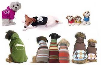 Pet Stilo Animal - Foto 1