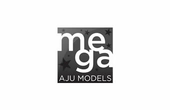Mega Aju - Foto 1