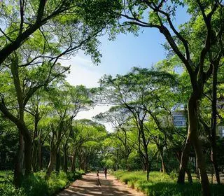 Sergipe é o estado com menos árvores em vias públicas