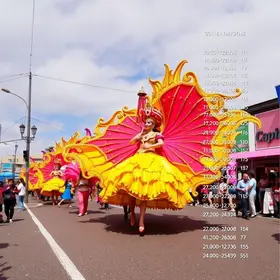 Carnaval de Neópolis 2026