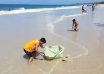 Limpeza e praias próprias para banho Aracaju