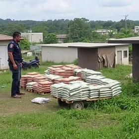 Operação Regresso