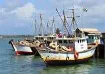Terminal Pesqueiro de Aracaju
