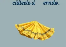 agenda cultural em Sergipe