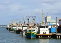 Terminal Pesqueiro Público de Aracaju