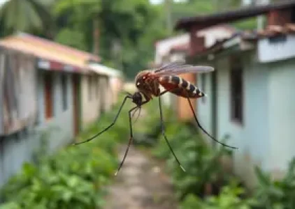 Últimas noticias de Aracaju