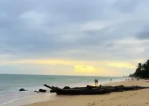 Arraiá do Povo