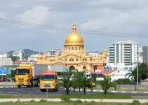 licitação do transporte
