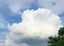 Aracaju céu parcialmente nublado e chuvas diárias