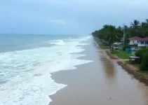 maré alta