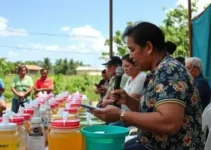 comercialização do mel