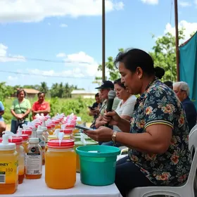 comercialização do mel
